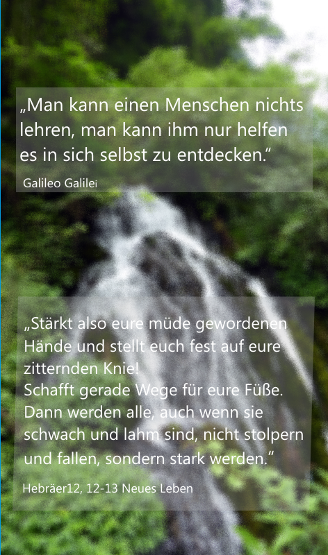 flyer4